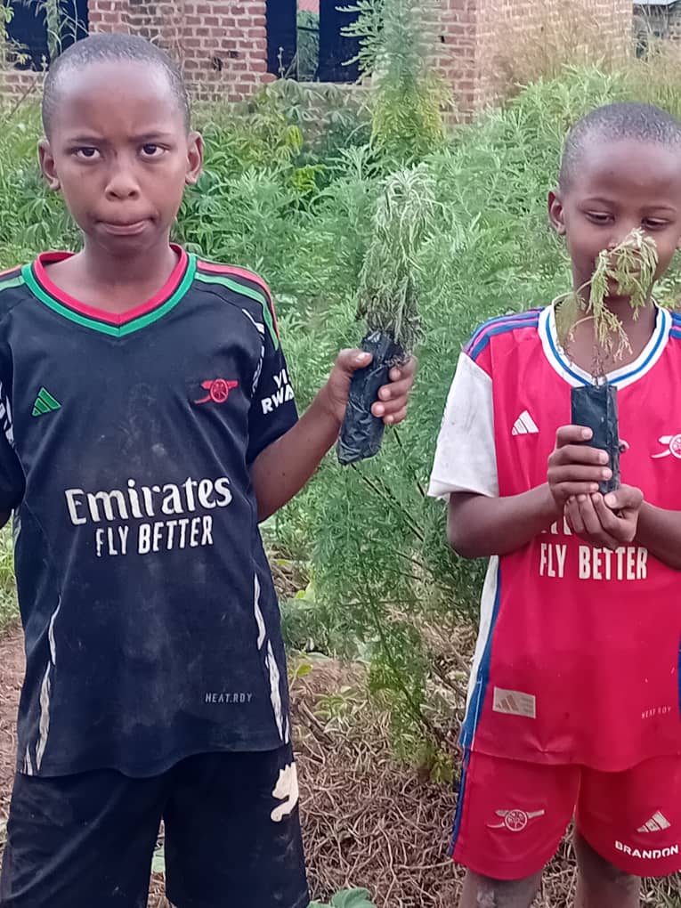 Young boys holding Artemisia afra seedlings