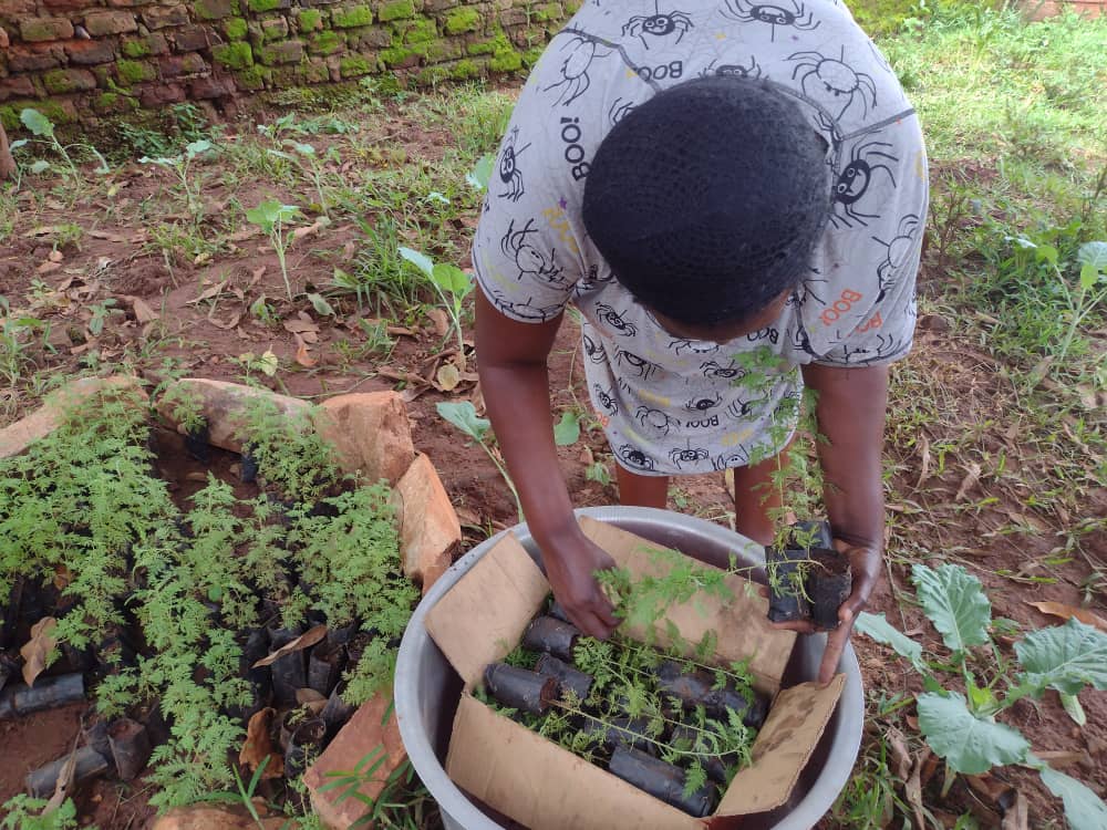 Hands-on community farming training
